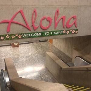 Meet your Posher, Georgina